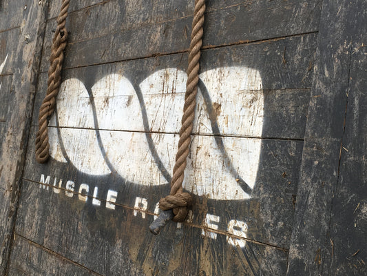 Muscle Ropes logo printed on a climbing wall for an OCR